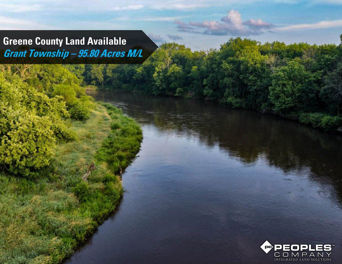 Listing Photo: Greene-Co-Rec-Land-Available-95-Acres-19559 (6)